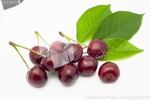 Image of Ripe, juicy cherries