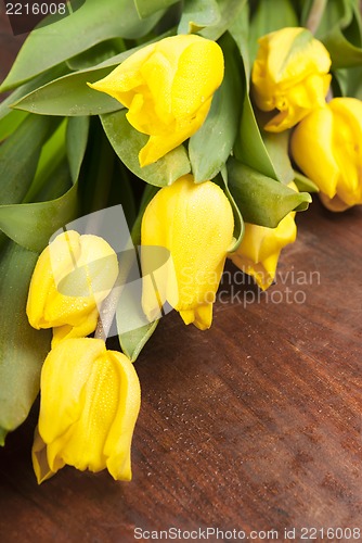 Image of yellow tulips