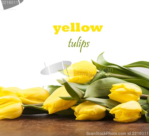 Image of Yellow tulips