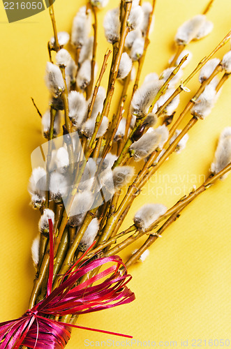 Image of  bunch of willow branches 