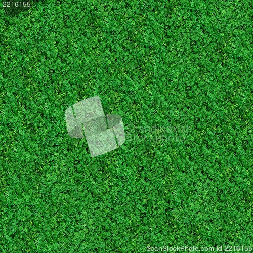 Image of Seamless Texture. Green Meadow Grass.