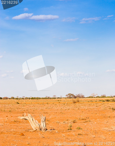 Image of Adventure in Kenya