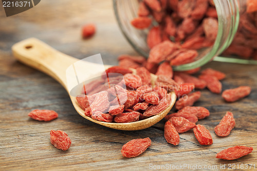 Image of Tibetan goji berries