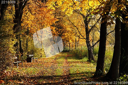 Image of czech color autumn country 