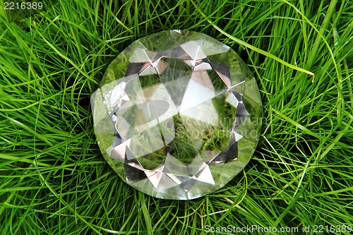 Image of diamond in the green grass 