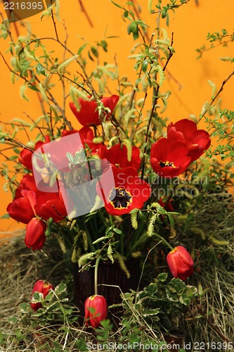 Image of tulip flowers 
