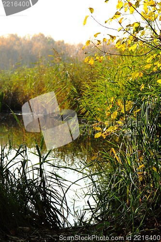 Image of czech color autumn country 