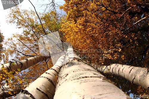 Image of czech color autumn country 