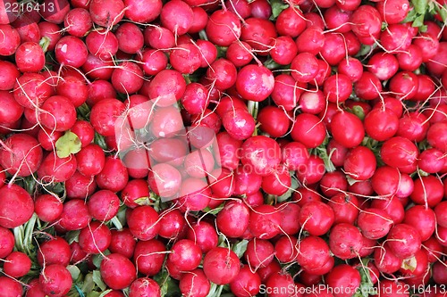 Image of fresh radish (radishes) background