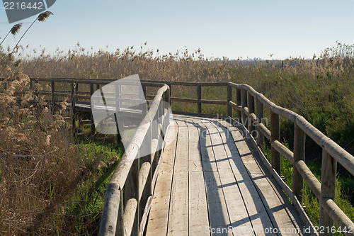 Image of Wetlands