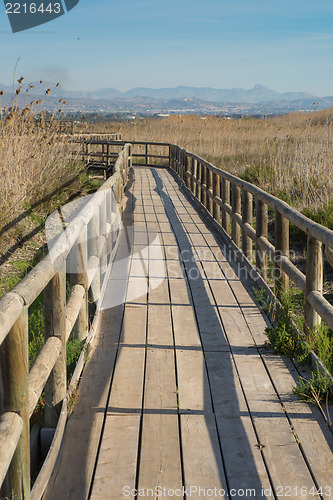 Image of Natural park footbridge