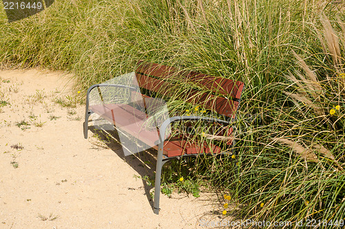 Image of Overgrown park bench