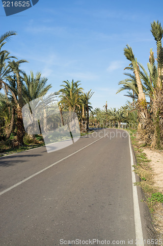 Image of Tropical road