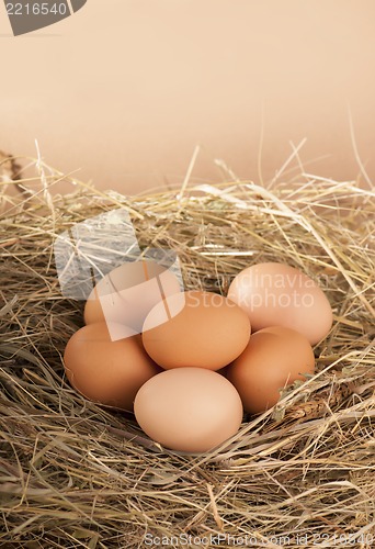 Image of pile of brown eggs in a nest