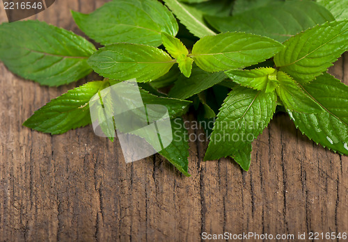 Image of Fresh mint