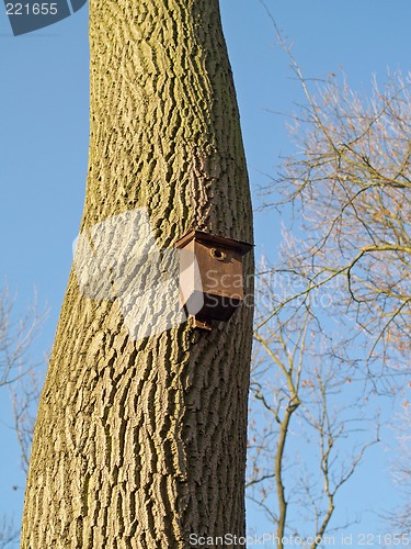 Image of Bird Box