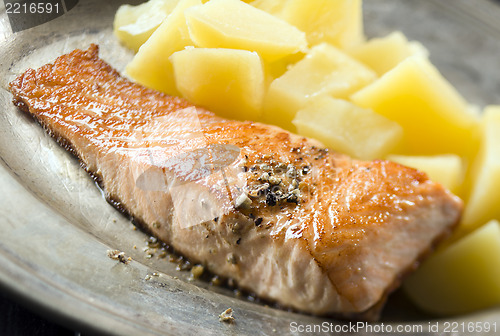 Image of Salmon