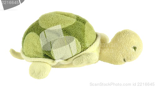 Image of Turtle toy