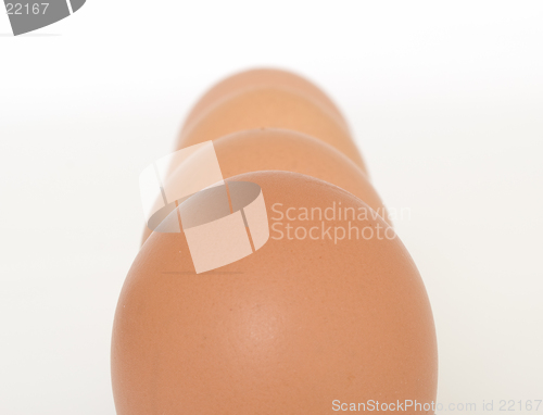 Image of Eggs in line
