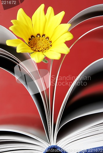 Image of Flower and Book