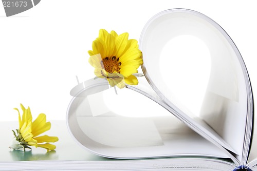 Image of Book and Flowers