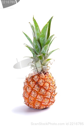 Image of ripe  juicy pineapple