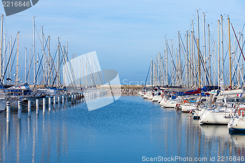 Image of Yachts moored in a marina