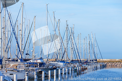 Image of Yachts moored in a marina