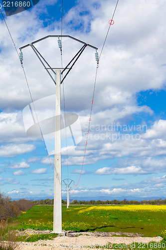 Image of Row of rural electrical power lines