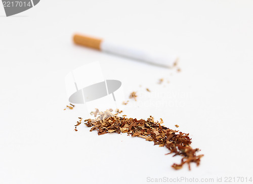 Image of Tobacco Spilled