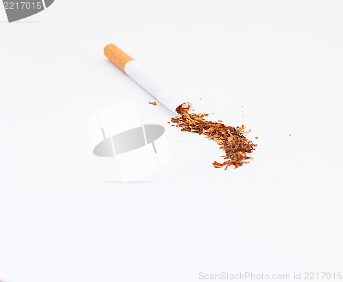 Image of Inside a Cigarette