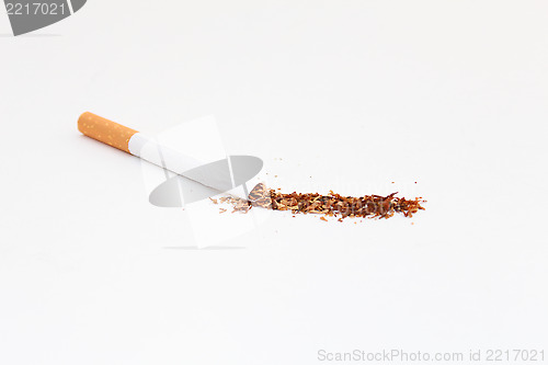 Image of Inside a Cigarette