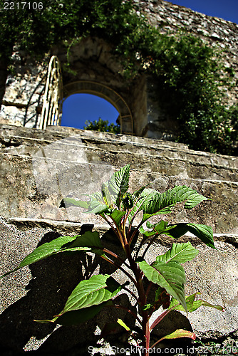 Image of Mystras Landscape