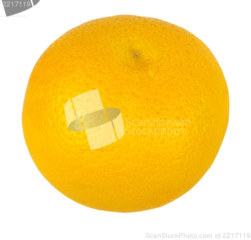 Image of Grapefruit