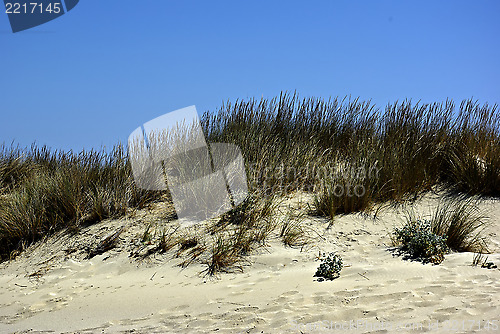 Image of Dunes