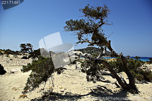 Image of Dunes