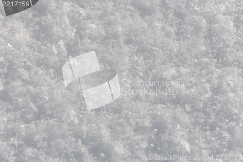 Image of snow surface