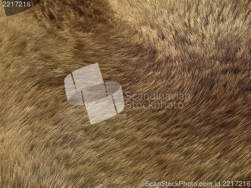 Image of Fox fur or fell: brown pattern or background