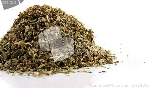 Image of Close up of Oregano on an isolated background