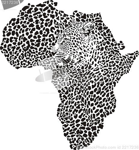 Image of Leopard skin and head in silhouette Africa