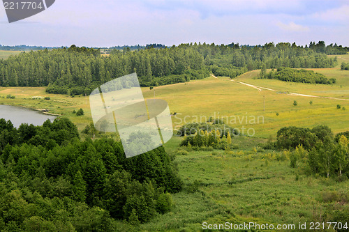 Image of summer Landscape