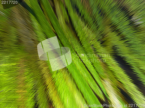 Image of green background with abstract stripes