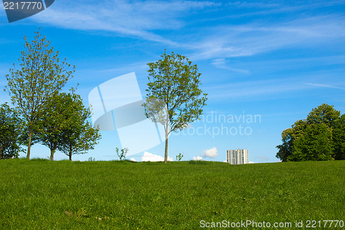 Image of Primrose Hill, London
