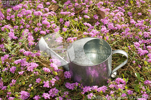 Image of Gardening