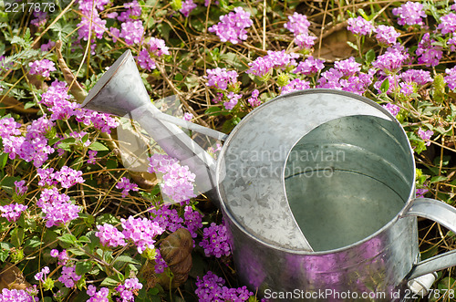 Image of Metallic watering can