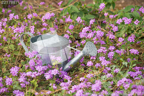 Image of Flower bed in spring