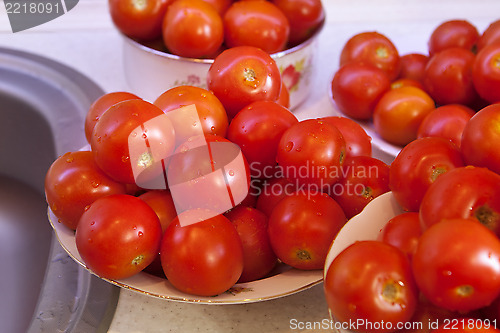 Image of Fresh wet tomatoes