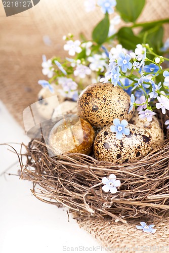 Image of Quail eggs