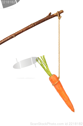 Image of Carrot on Stick