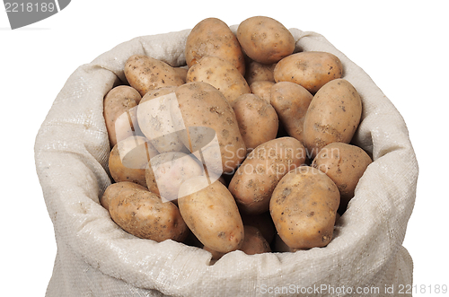 Image of Bag With Potatoes